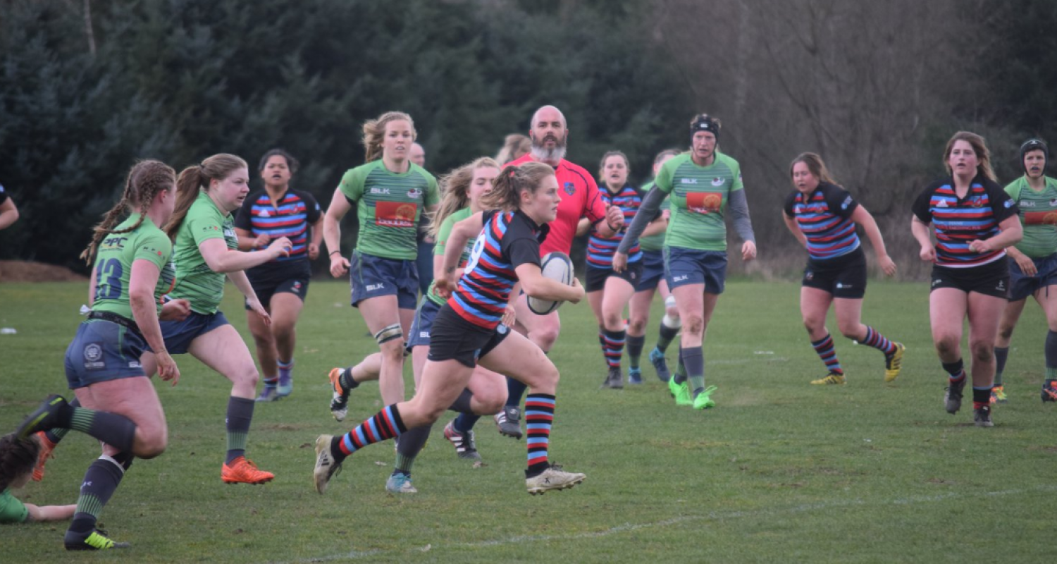 Rugby Aplenty! - Image 2