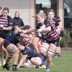 Monday's Musings on Tuesday!