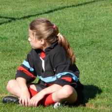 Musing on a rugby future..... A Christmas Read