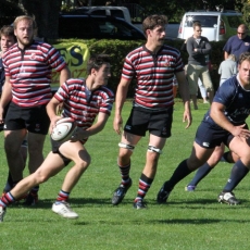 CDI Kicks  OFF On Saturday