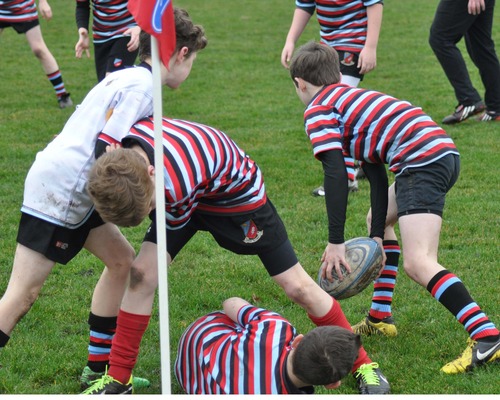 Minis Cancelled - Ground Closure