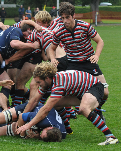 Bears Bushwhacked By Buenos Aires