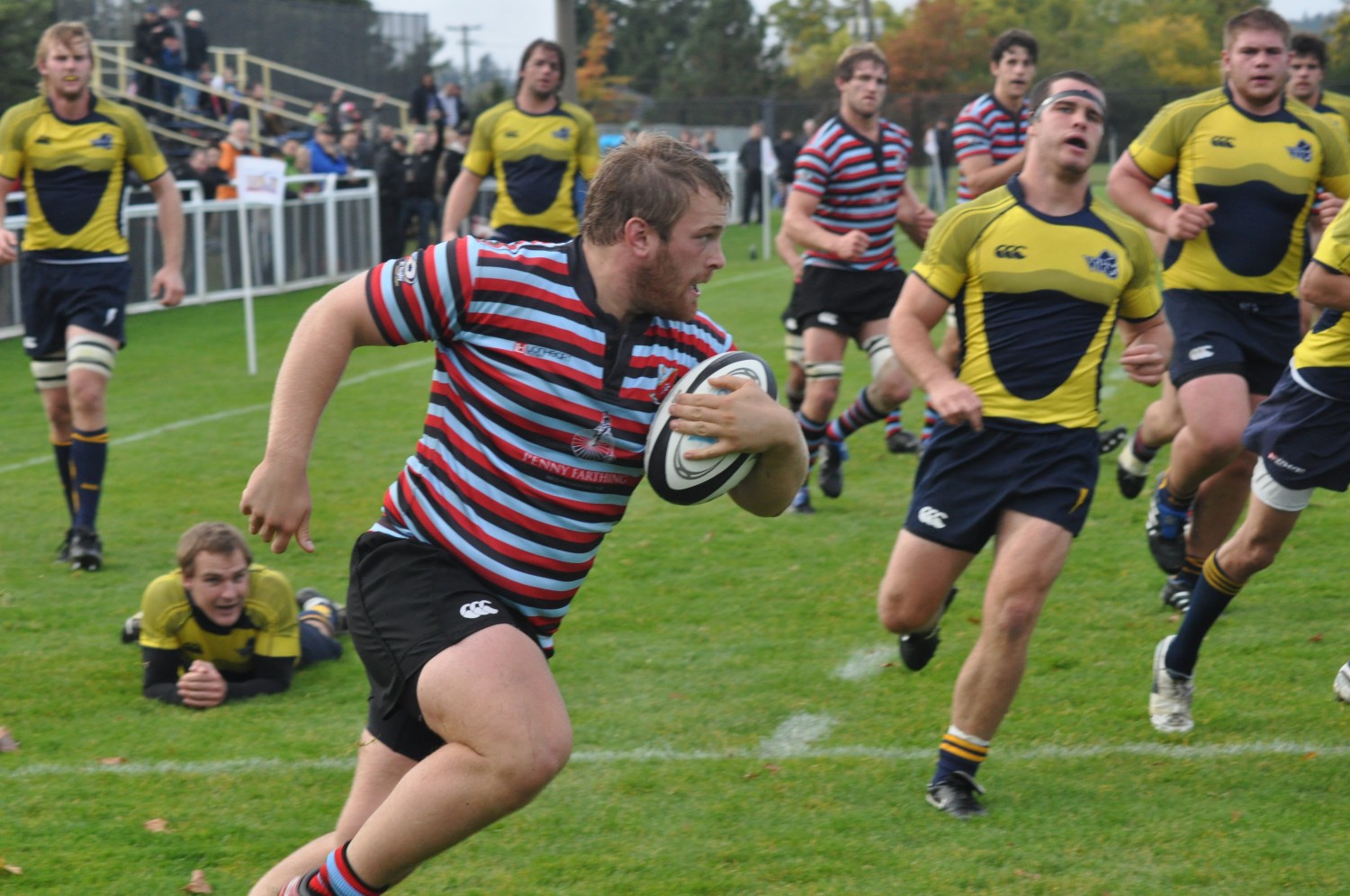 Doing The Lite Fandango