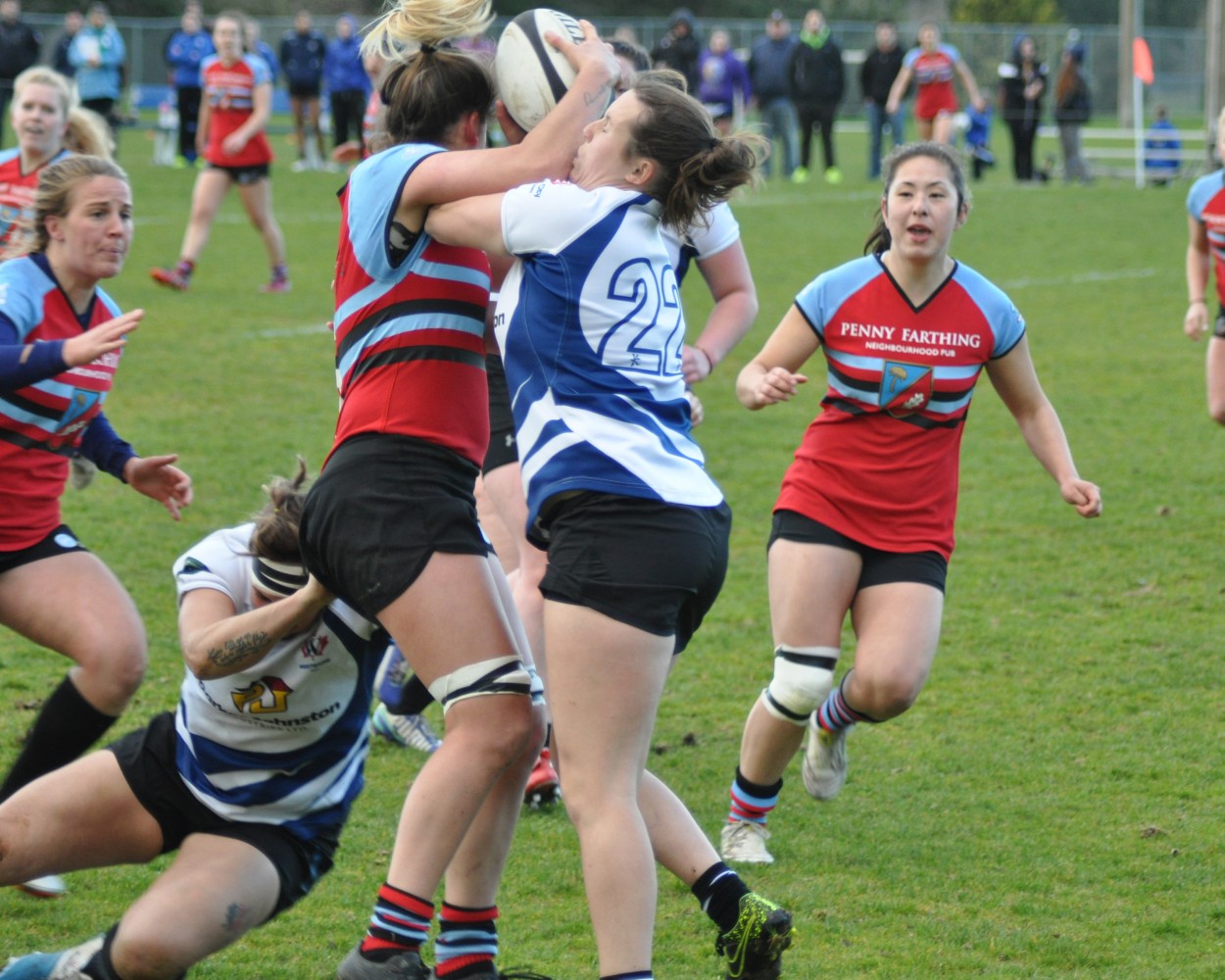 Goliath Schools David