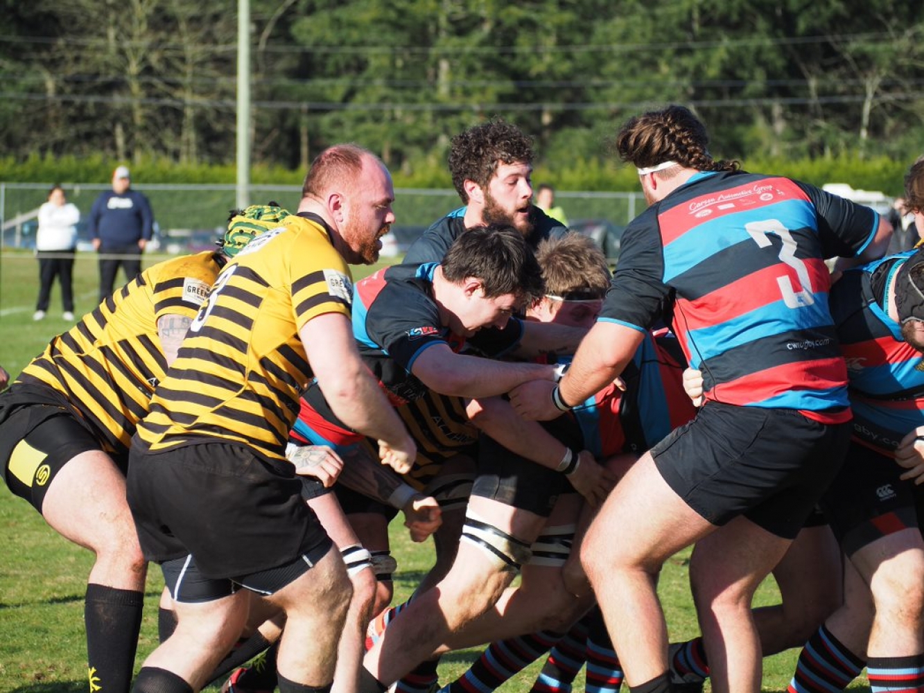 Hornets in the House