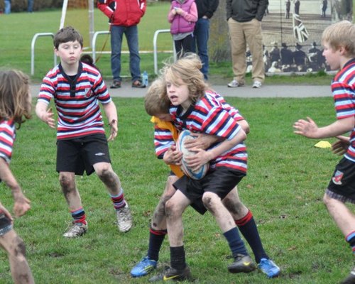 Minis Are In The Starting Blocks