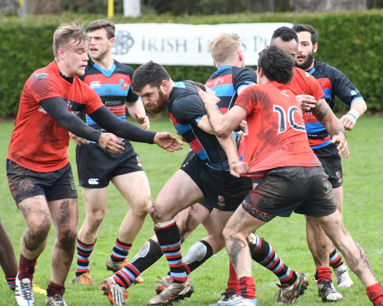 Plunge Into Playoffs