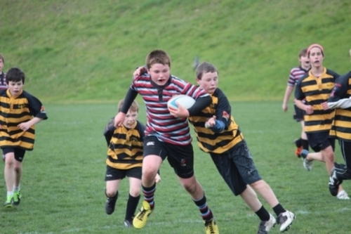 Junior Boy's/Men's Rugby Is Underway!