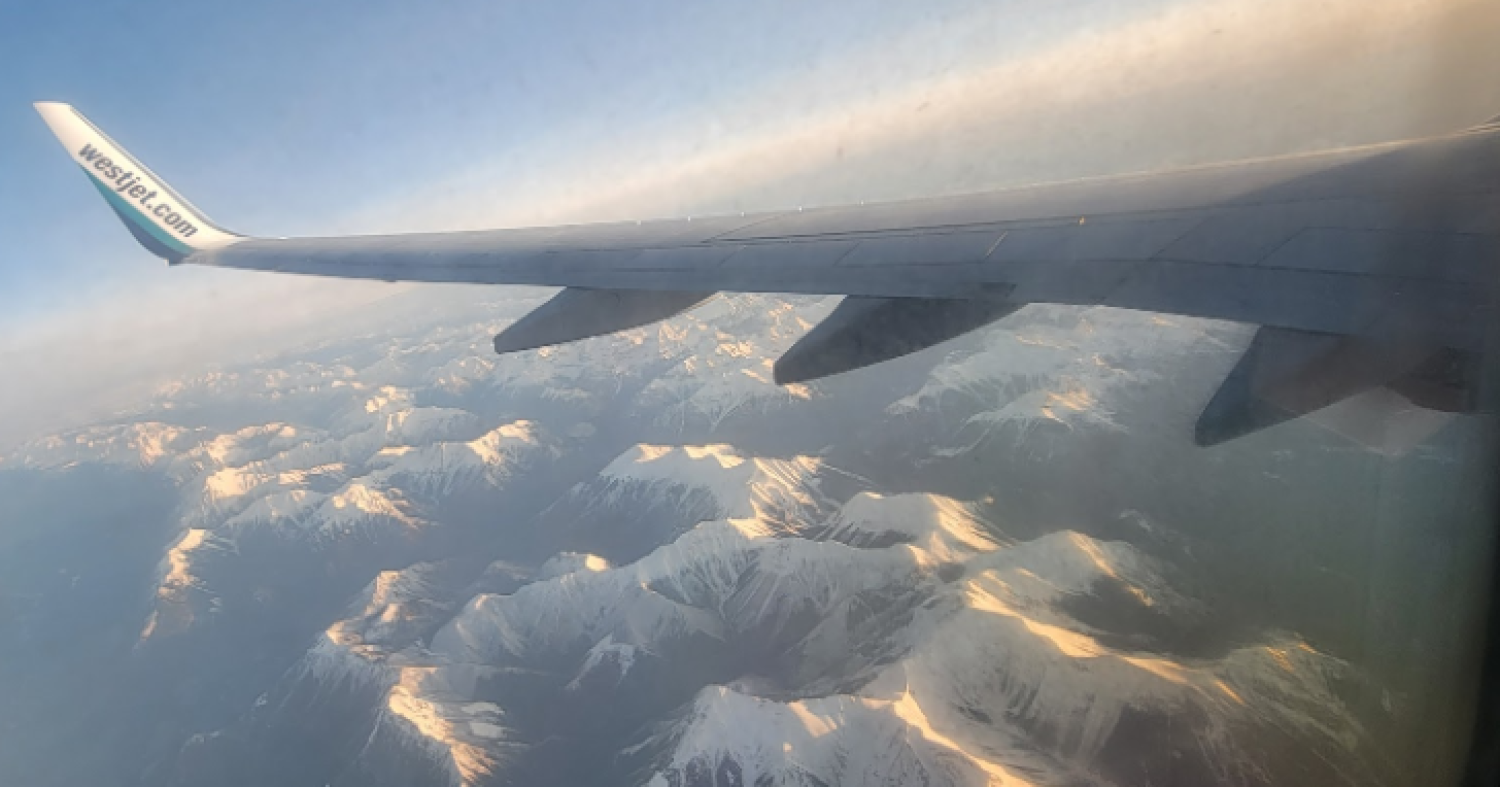 SATURDAY - MUST BE A RUGBY DAY - HERE GOES