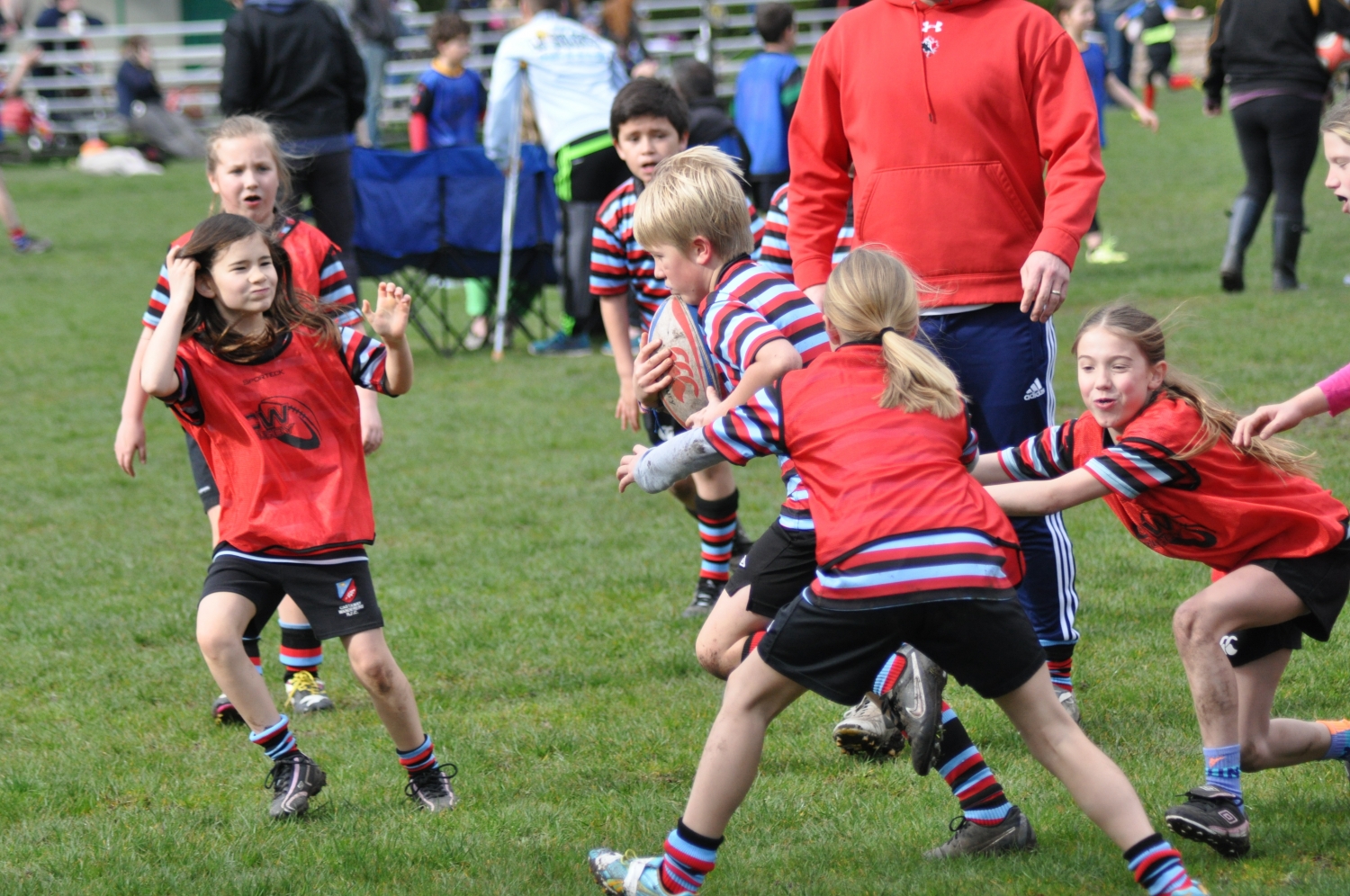 Sunday - Must Be Minis Day!