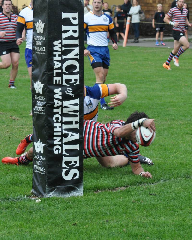Try!!