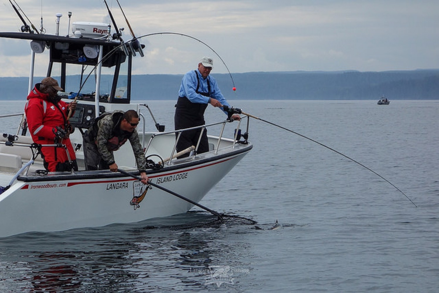 Wednesday's Ruck & Maul