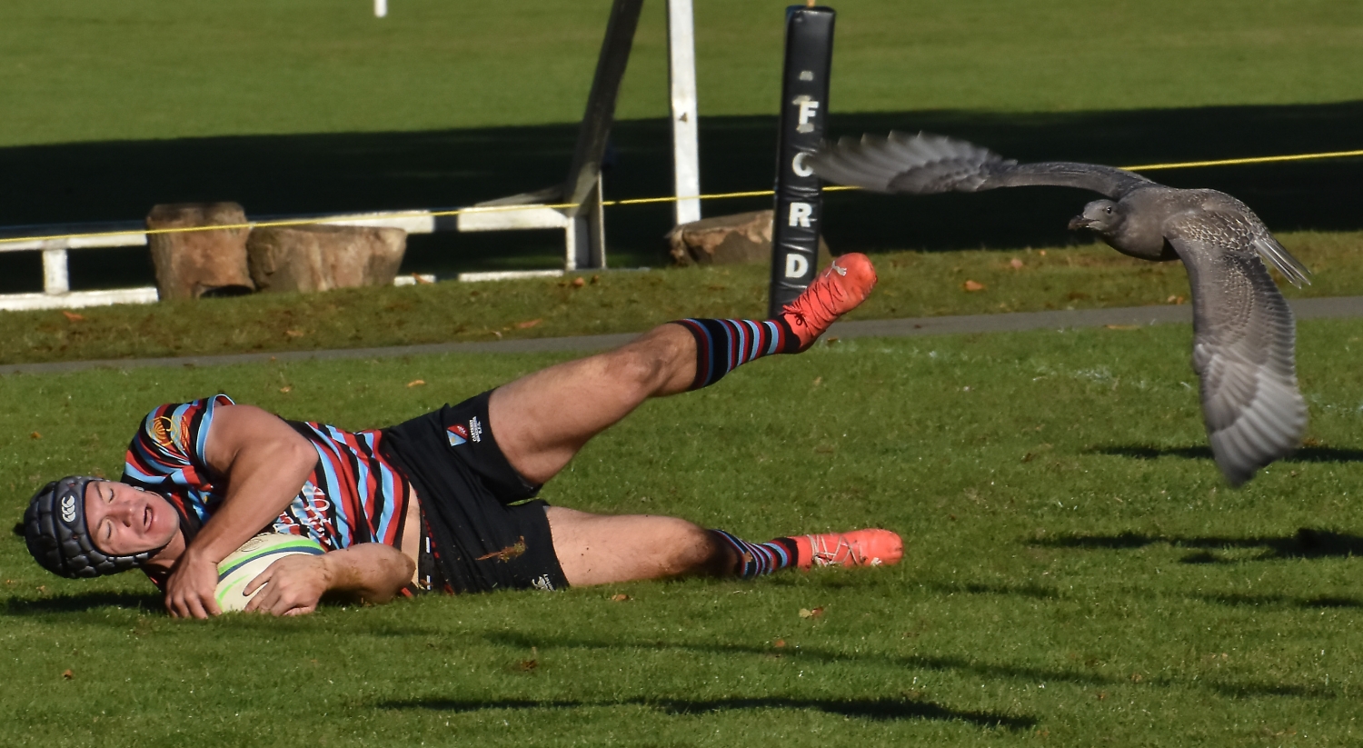 Wednesday's Ruck & Maul