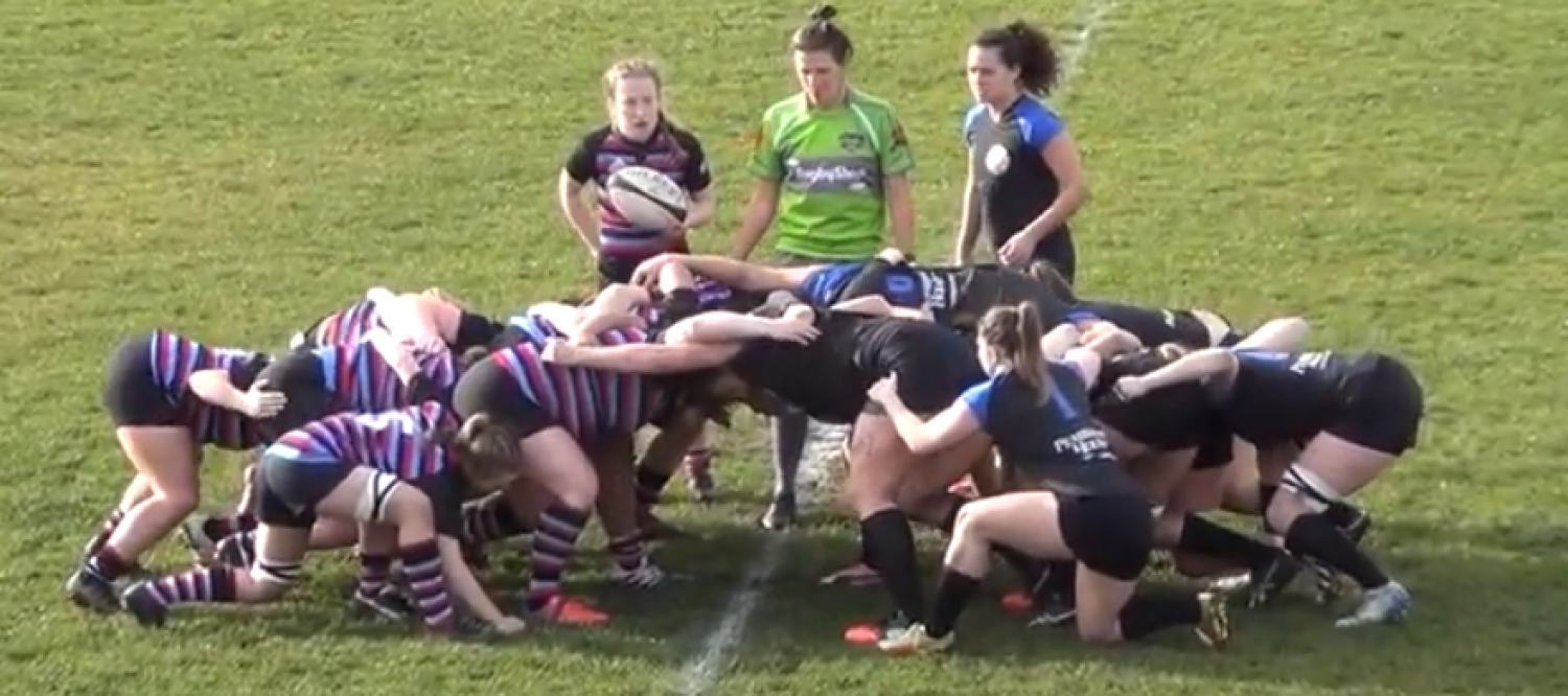 Westshore Fires on All Fours