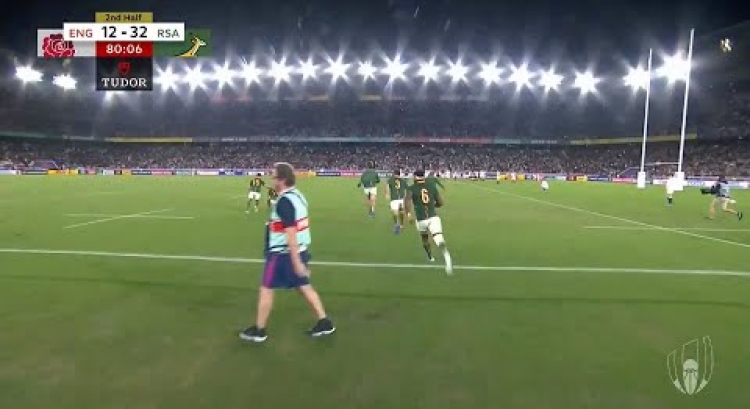 South Africa bench runs onto pitch after winning Rugby World Cup