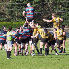 Three Teams to the Hub City