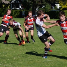 Visitors Take the Spoils