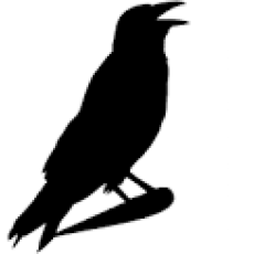 A Huge Dose of Crow!