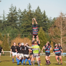 It's Rugby - Must Be Saturday!