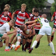 A Plethora of Junior Rugby