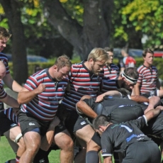 CW @  Westshore for Triple Header - Senior Womens, Senior Mens 1sts and Premiership
