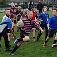 CW Minis Call It Quits For The Season