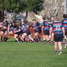 A Matter of Conjecture