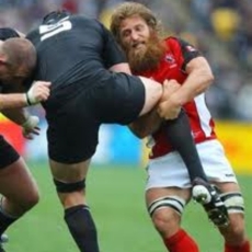 B.C. Bears Announce Squad Vs Ontario Blues