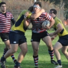 Second Stanza Demise