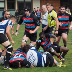 Westshore Quadfecta – Local Derby