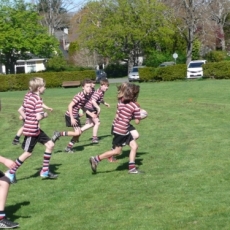 CW Minis Wind Up Another Successful Season