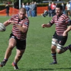 To Bear Or Not To Bear, That Is The Question!