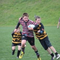 Junior Boy's/Men's Rugby Is Underway!