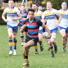 CW YOUTH Earn Honors