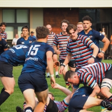 RUGBY GALORE