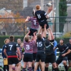 Huge Day At Windsor Tomorrow.