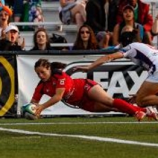 DAY ONE - ALL ACCORDING TO HOYLE!