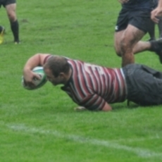 Fruitless Trek Crosstown