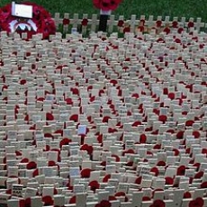 Wednesday's, "Ruck & Maul".