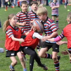 School Rugby Takes Over