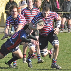 Gillie - Captain Canada