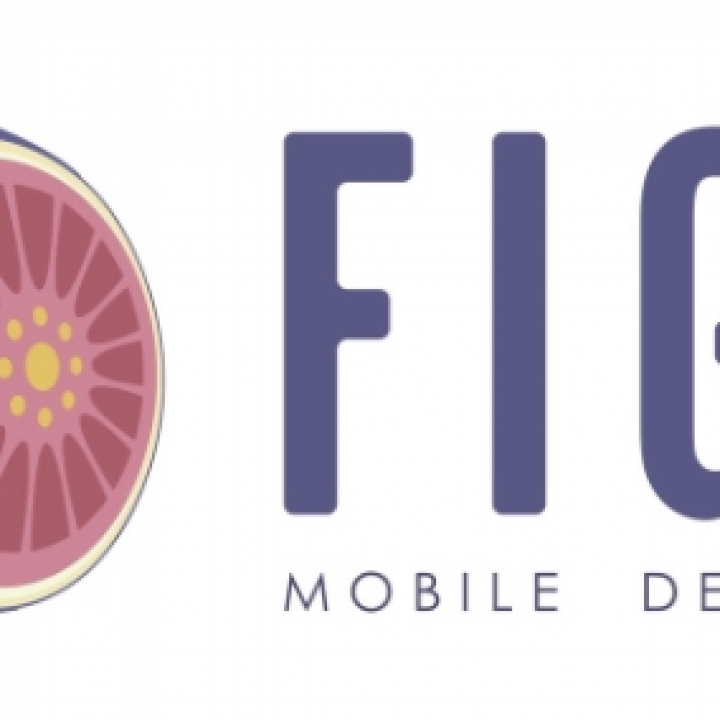 Fig\'s Mobile Detailing